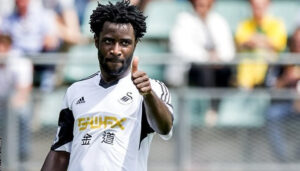 bony-swansea