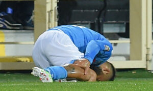 insigne