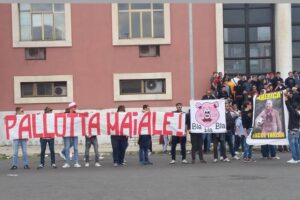 pallotta-maiale-500x333