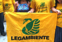 Stadio As Roma, Legambiente: «Tor di Valle area complicata. No a scorciatoie e favori»