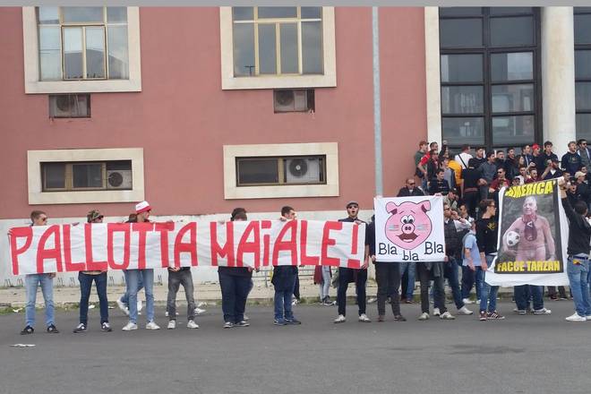 pallotta-maiale-500x333