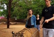 Roma già pazza di Szczesny, l’uomo con la tigre al guinzaglio