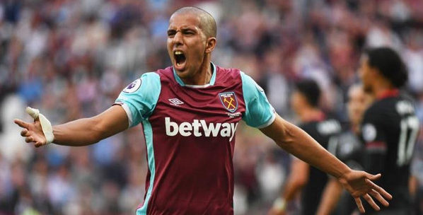feghouli