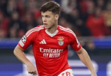 Calciomercato Roma, il Benfica ha offerto 12 milioni di euro per acquistare Dahl