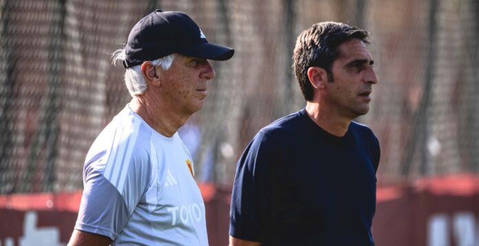 gasperini d'amico