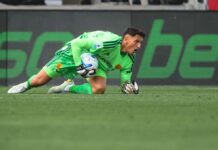 gollini para a terra il pallone